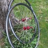 CX 24 mm wide (ISO 622 mm) wheelset (QR 9 and 10 mm)
